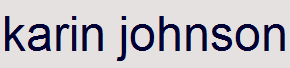karin johnson